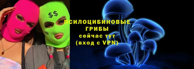 Псилоцибиновые грибы Psilocybine cubensis  Шадринск 